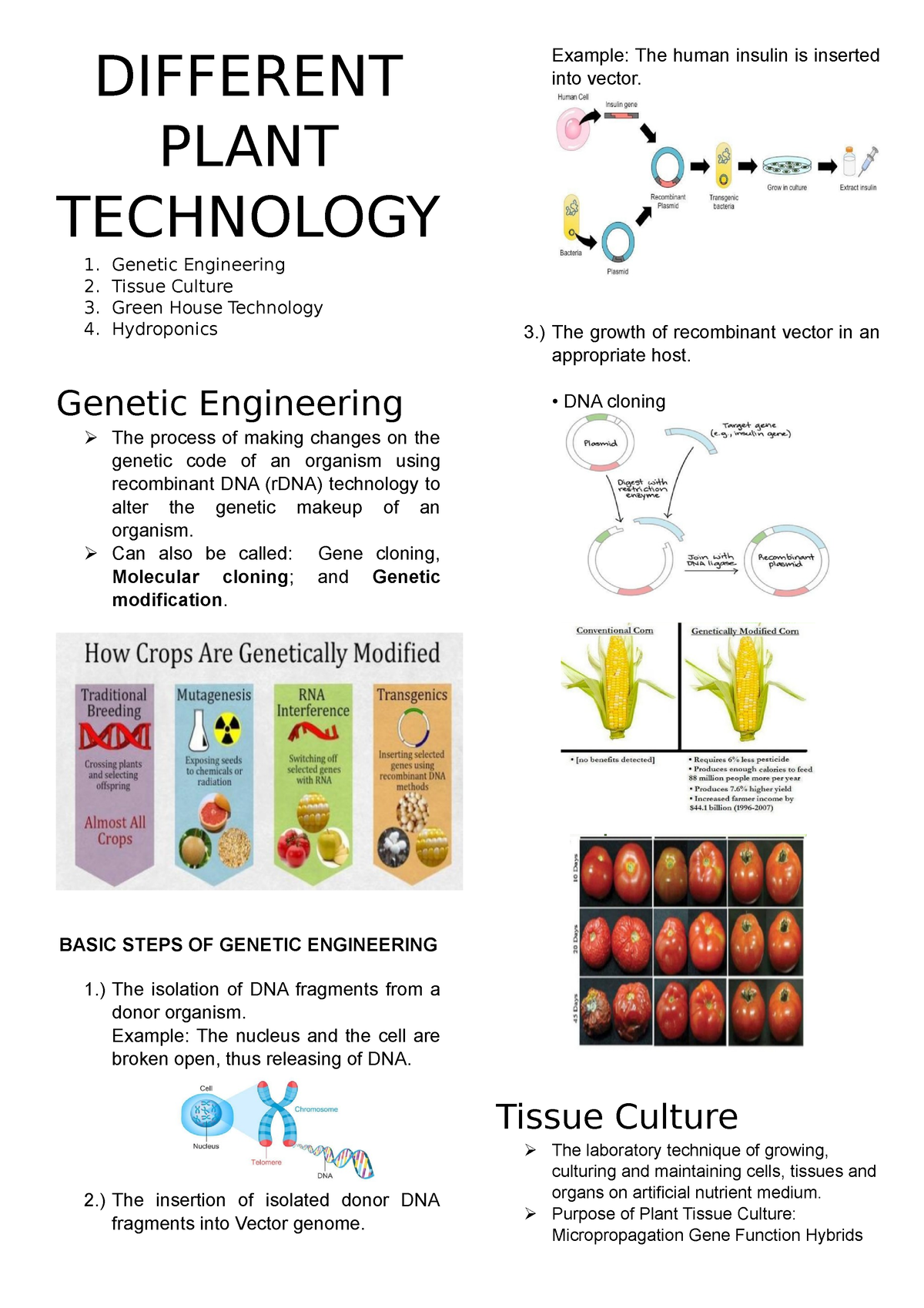 Different Plant Technology - DIFFERENT PLANT TECHNOLOGY 1. Genetic ...