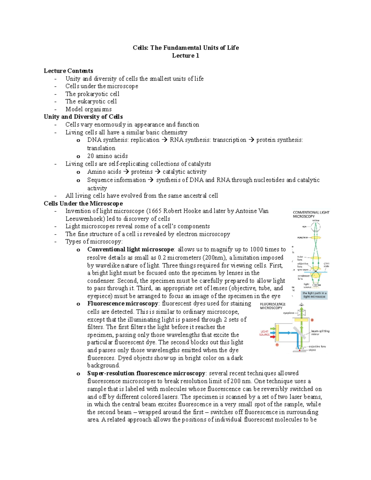 Midterm 1 - Cell Biology - Cells: The Fundamental Units of Life Lecture ...