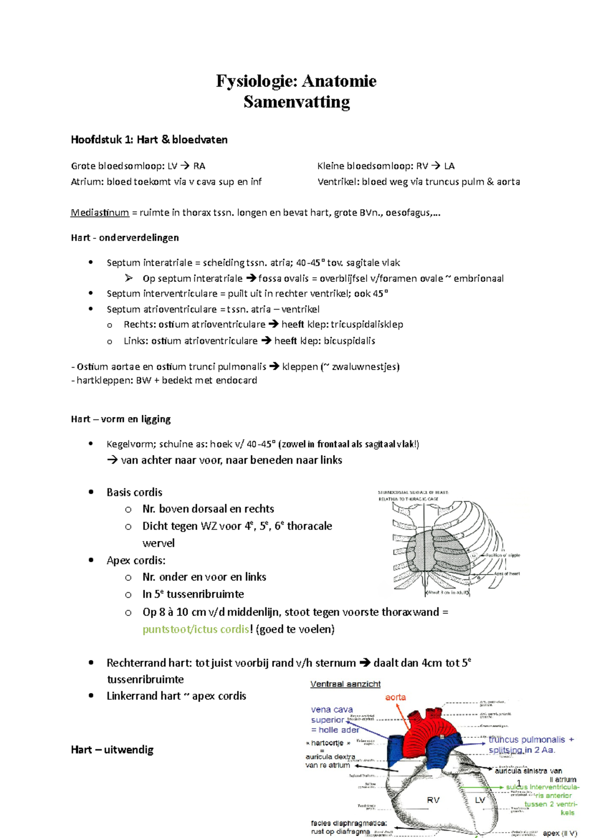 Fysiologie Anatomie Samenvatting Alles - Fysiologie: Anatomie ...