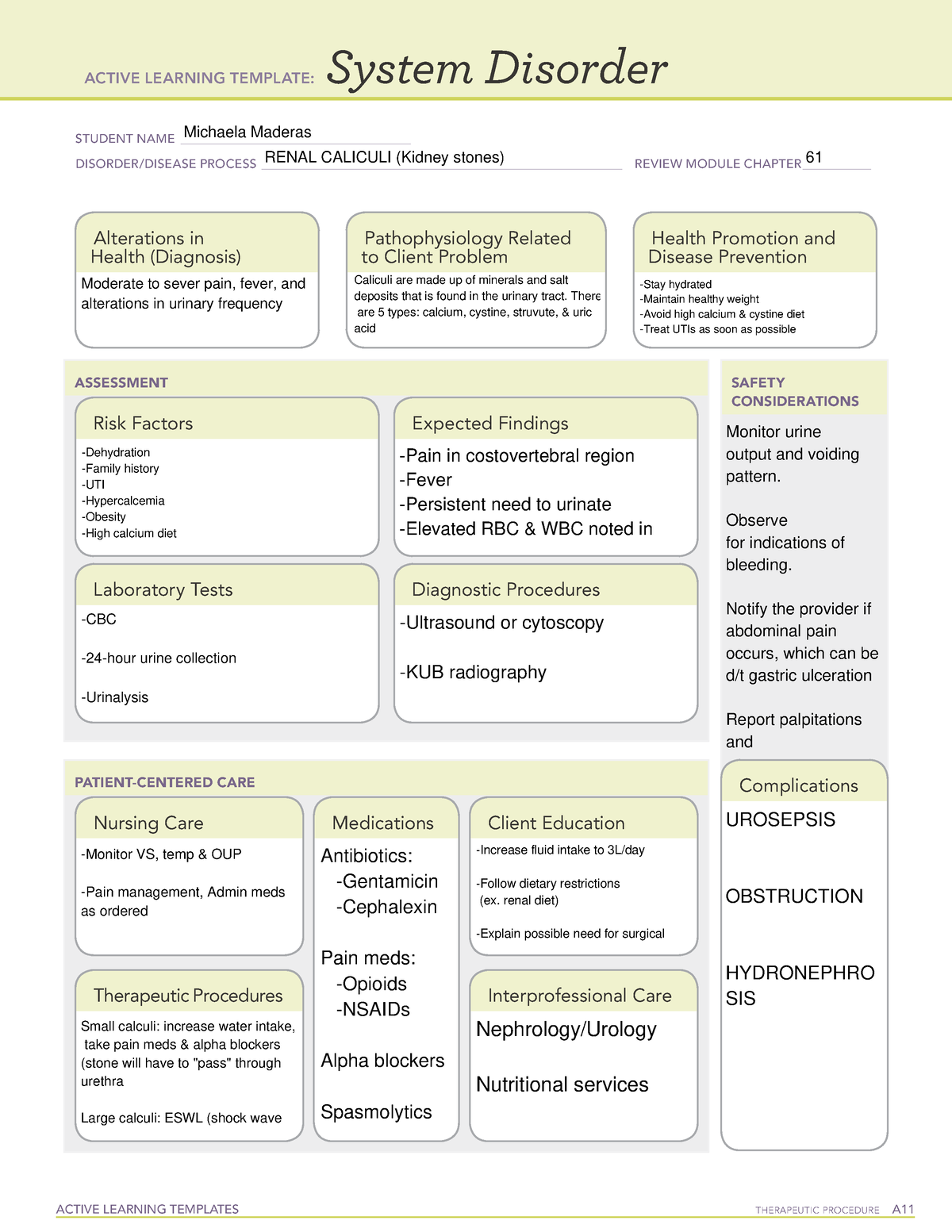 Renal Calculi System Disorder ACTIVE LEARNING TEMPLATES THERAPEUTIC