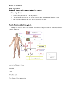 Final LABS BIOS255 Labs BIOS255 Week 2 Heart Lab - BIOS255 Week 2 ...