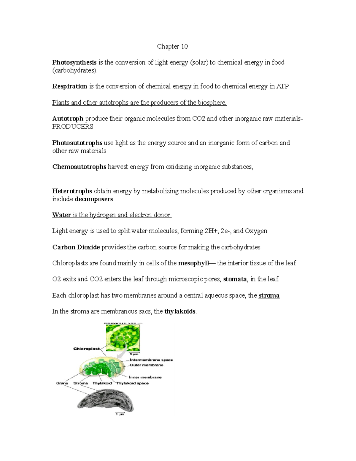 Study guide ch. 10-11 - Chapter 10 Photosynthesis is the conversion of ...