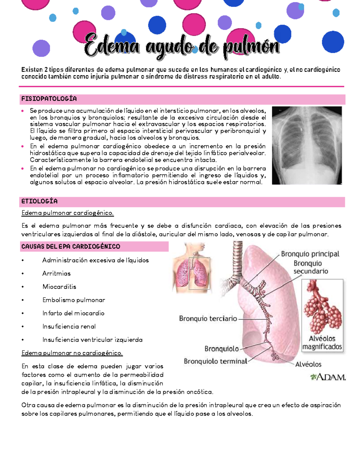 Apunte Epa Existen Tipos Diferentes De Edema Pulmonar Que Sucede En Los Humanos El