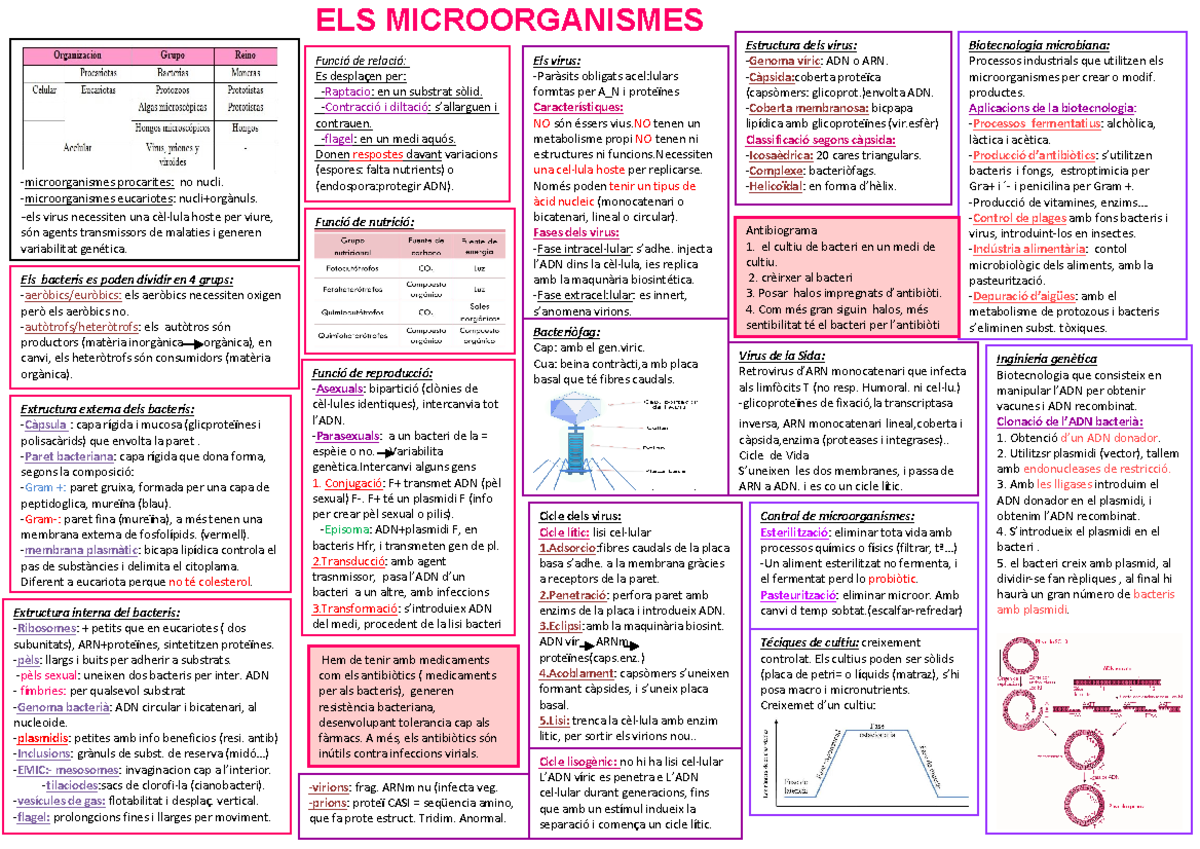 Documento PDF MicrobiologiaVirus Mm e pe procarites no nucli