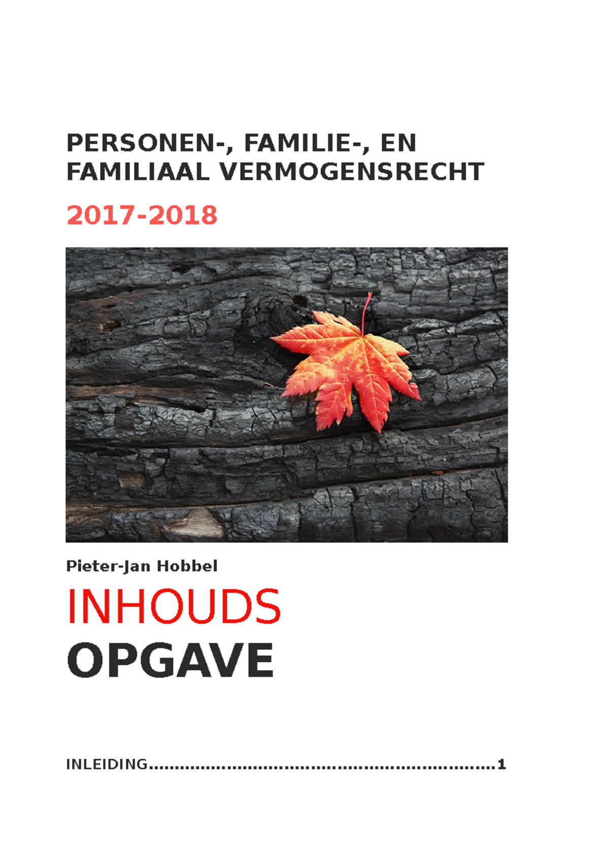 PFF2018 - Samenvatting Boek + Slides - PERSONEN-, FAMILIE-, EN ...