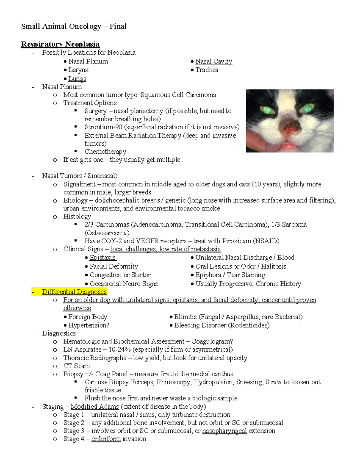 Small Animal Oncology Final Small Animal Oncology Final