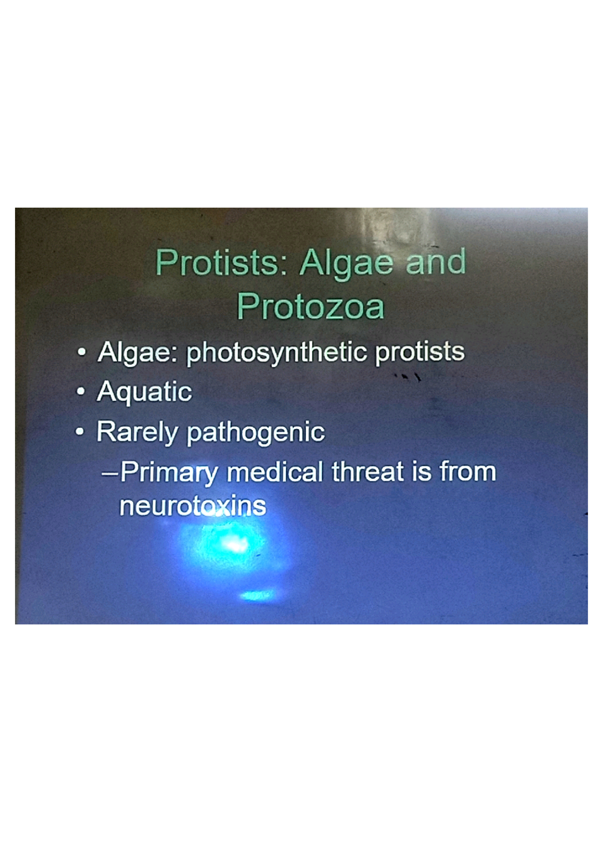 Algae And Protozoa - Biology - Studocu