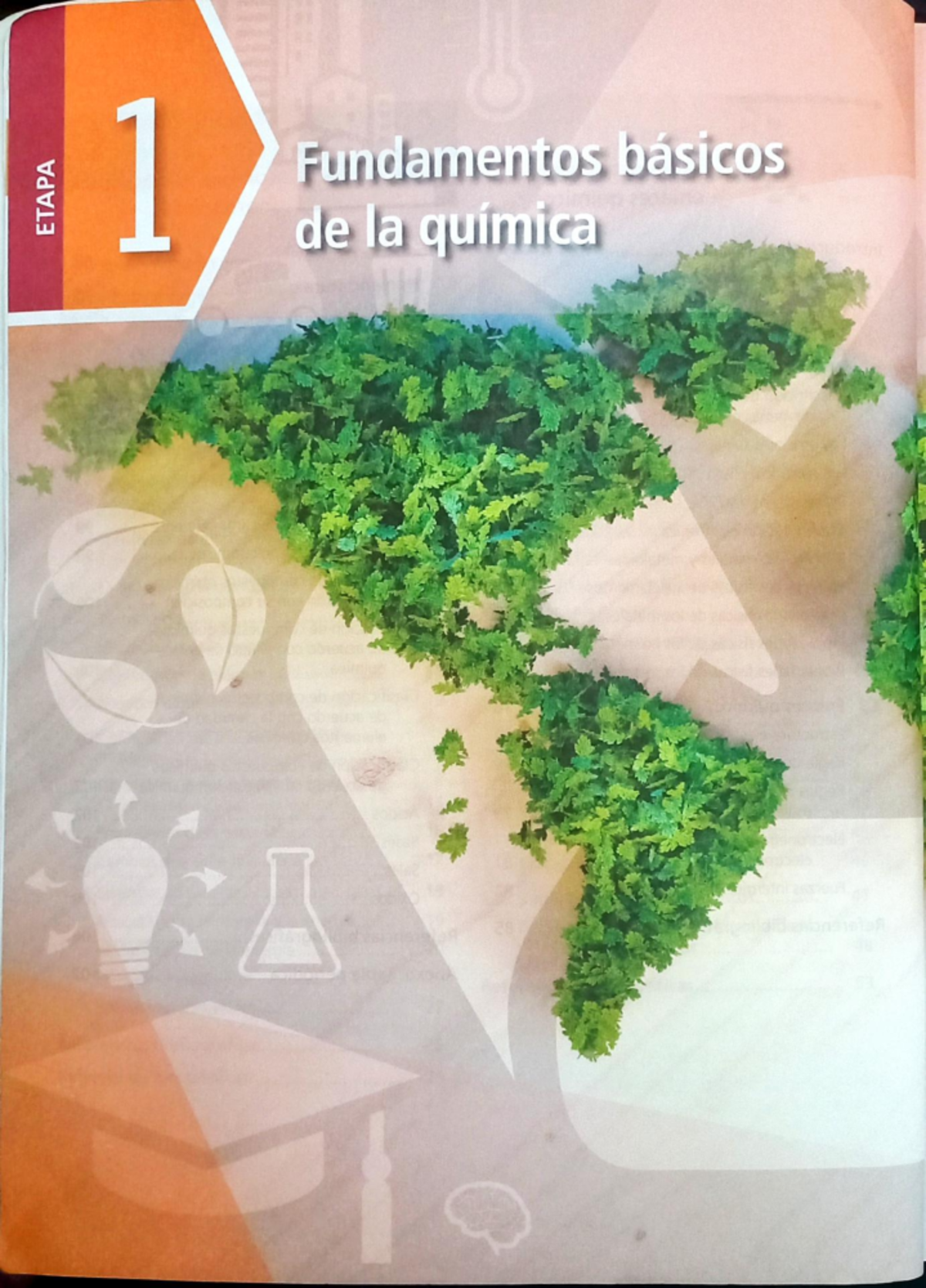 Libro La Materia y sus Transformaciones (etapa 1 y 2) - ERAM 1 ...