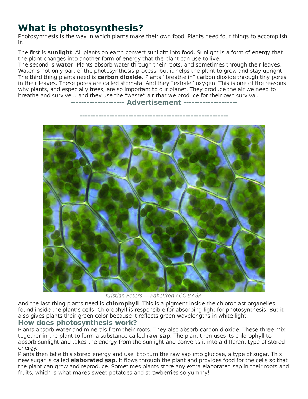 what-is-photosynthesis-what-is-photosynthesis-photosynthesis-is-the