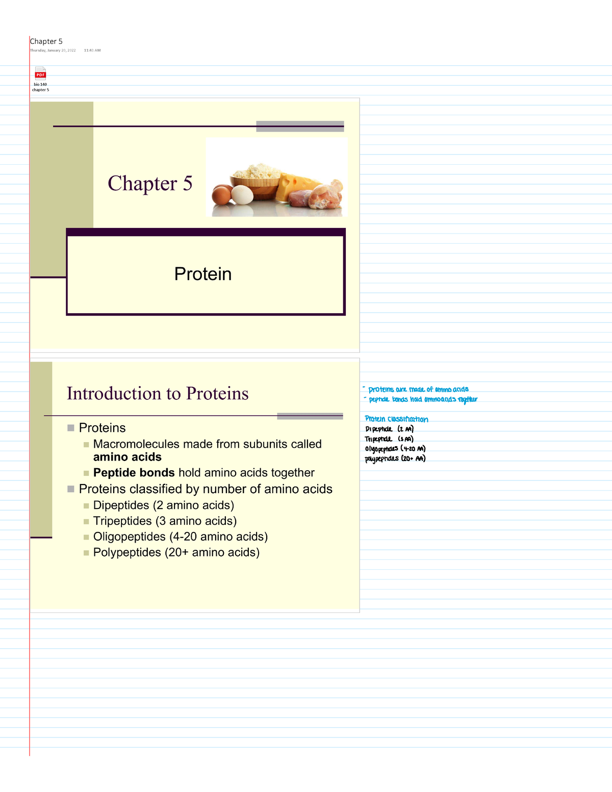 Bio 140 Lecture CH5 - BIO 140 - Bio 140 Chapter 5 Chapter 5 Thursday ...