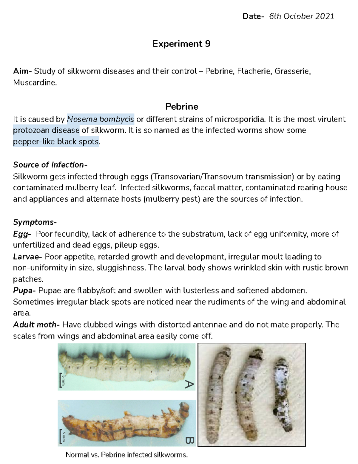 Experiment 9 This practical file contains exhaustive information on