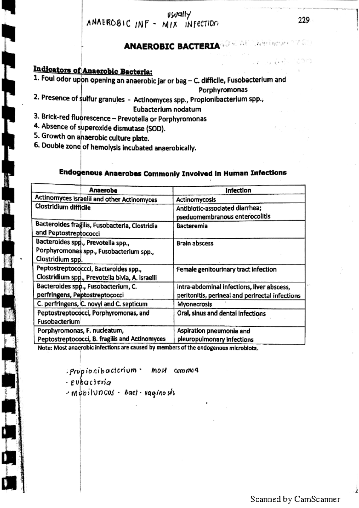 Rodriguez Anaerobic Bacteria Bacteriology Lecture Studocu