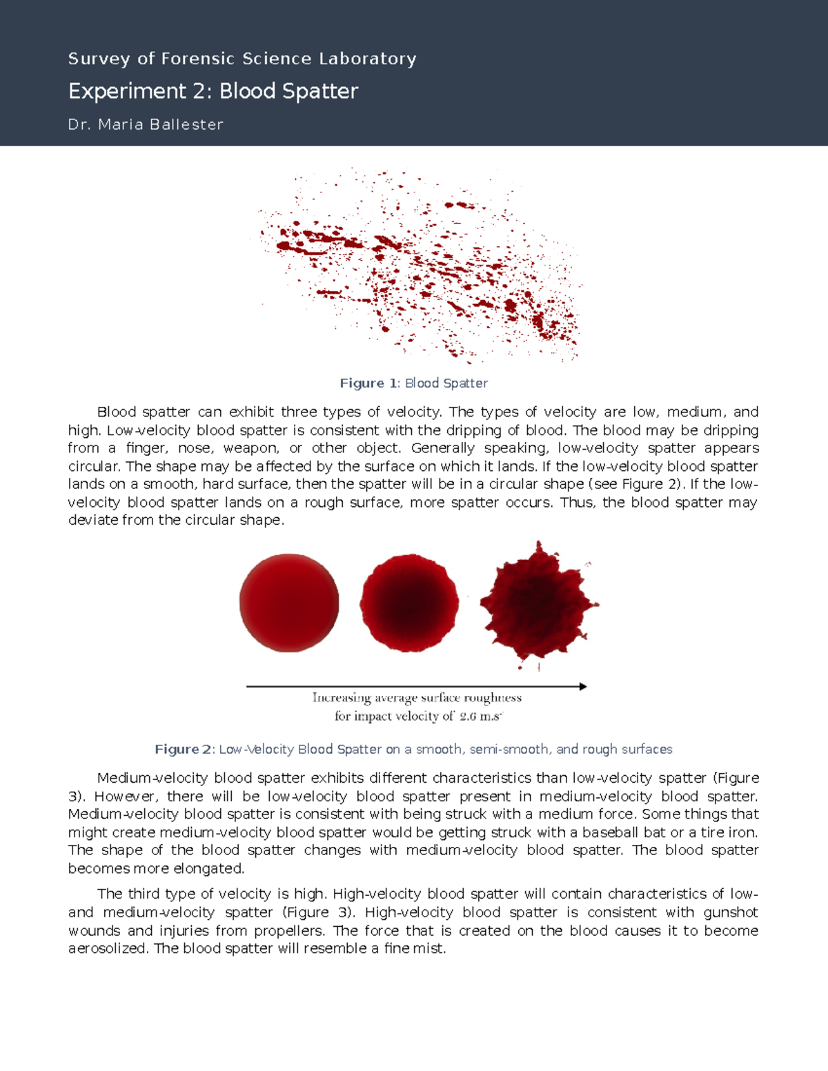 Forensics Lab 02 Blood Spatter Fall 21 Survey Of Forensic Science 