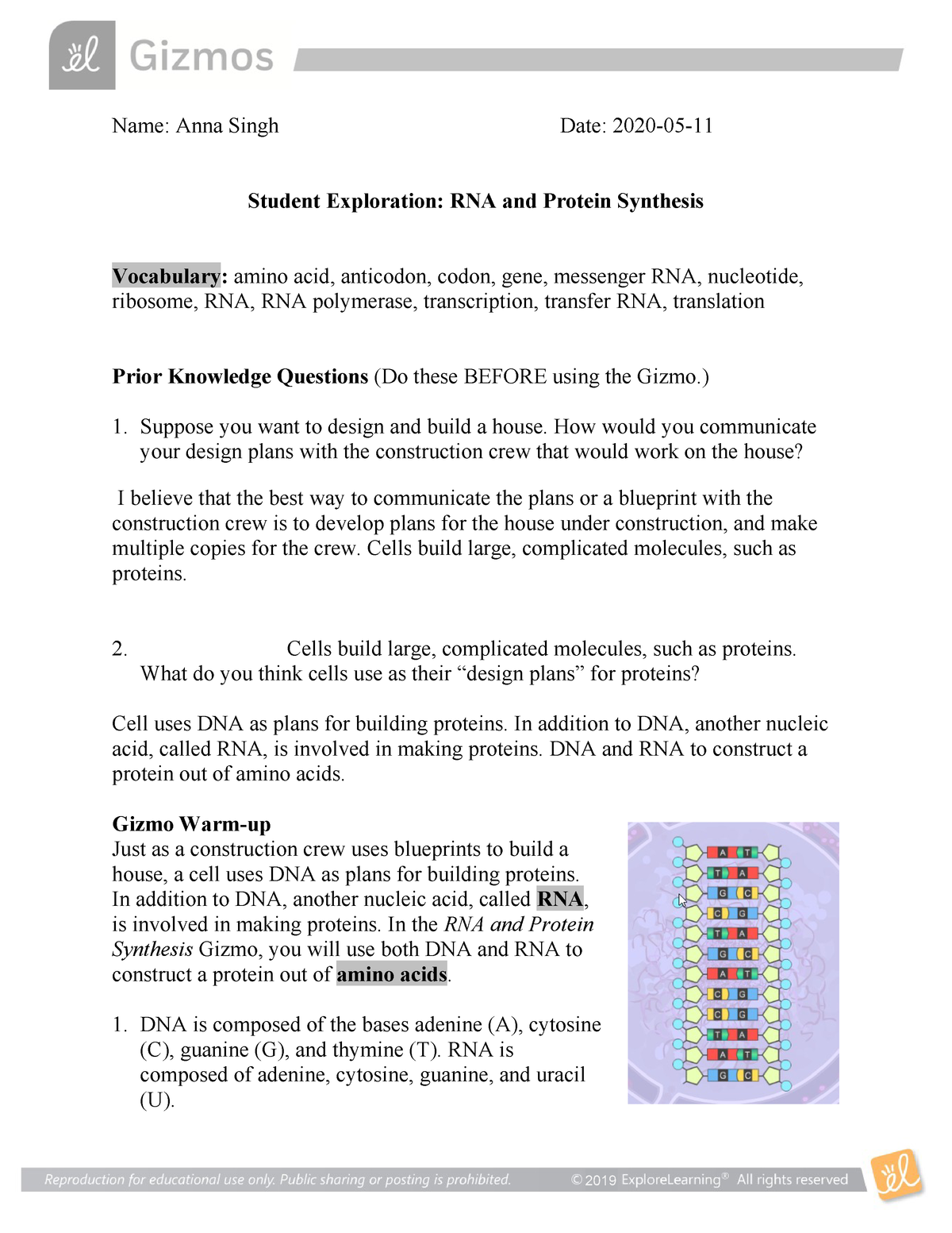 Gizmo Building Dna Answer Key Pdf 32 Rna And Protein Synthesis Gizmo Worksheet Answers Worksheet Resource Plans Double Helix Dna Enzyme Mutation Nitrogenous Base Nucleoside Nucleotide Replication Prior Knowledge Questions