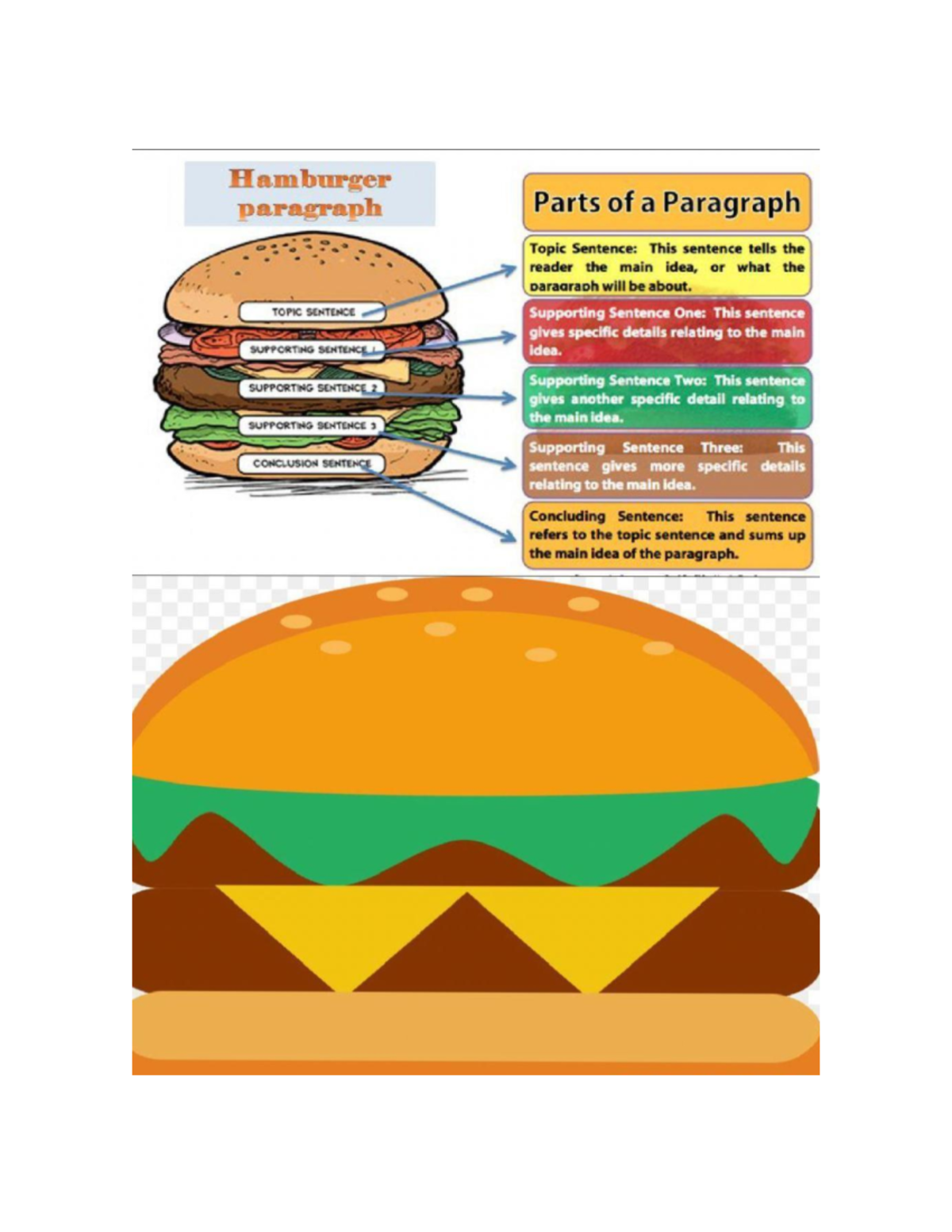 HamburguesParagraph - Español latino - Studocu