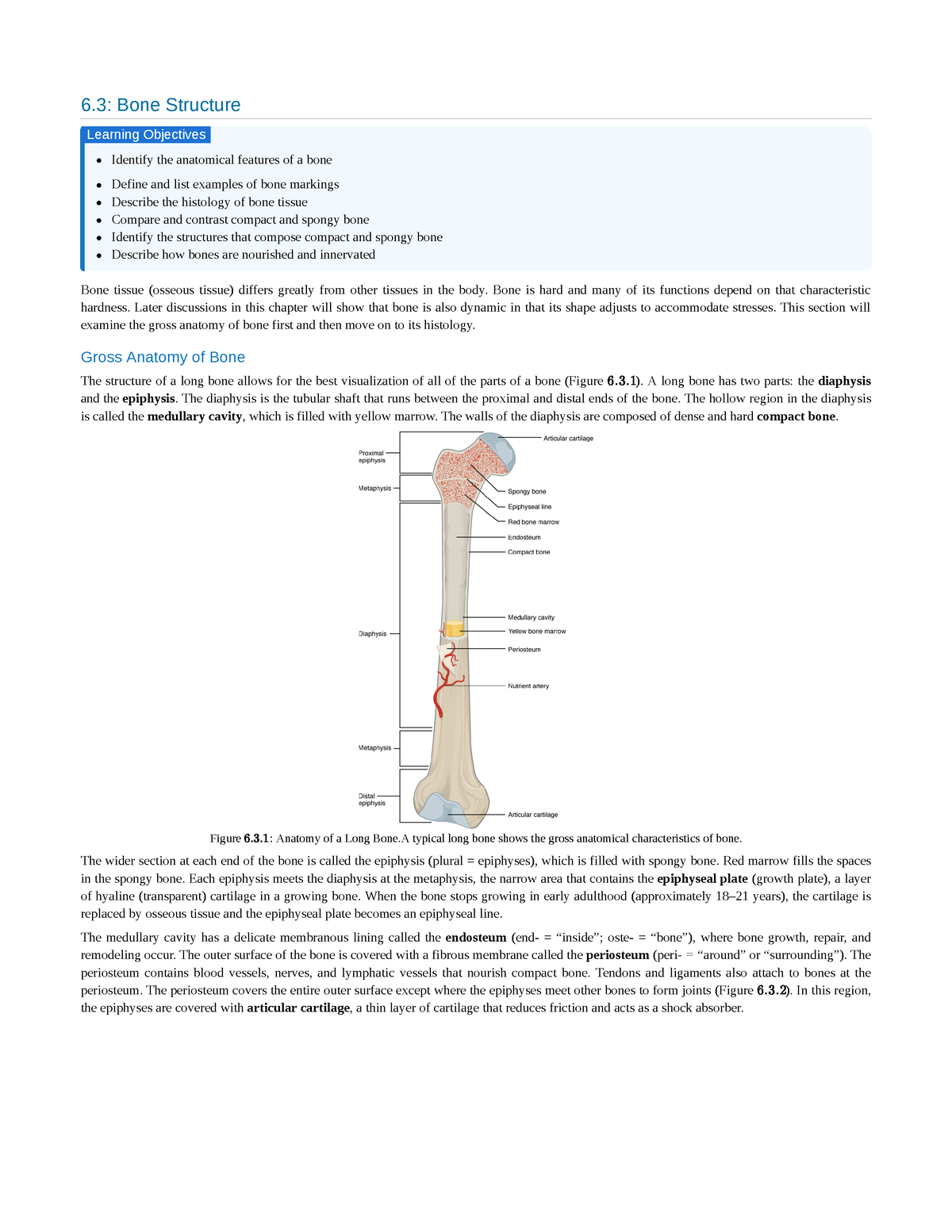 6.3 Bone Structure - Instructional Module - 6: Bone Structure Identify ...