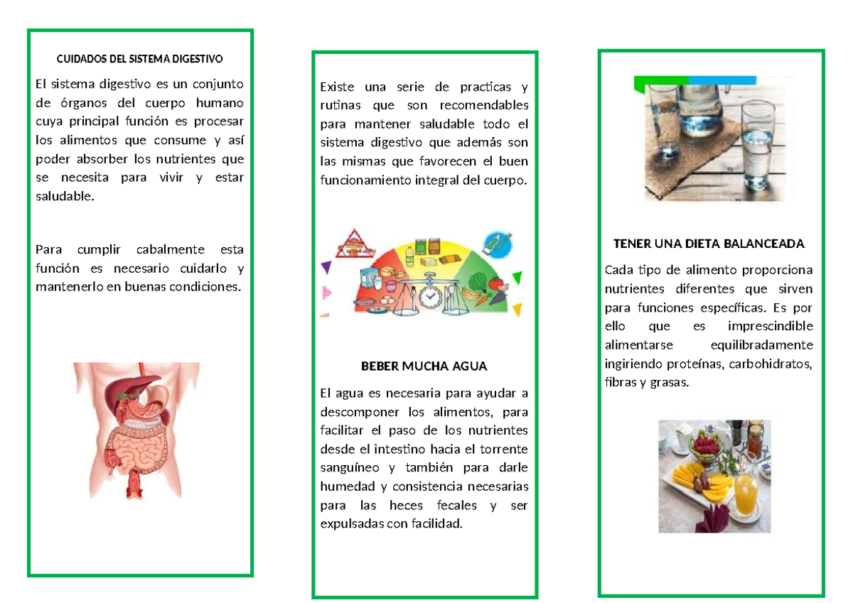 Triptico Cuidados DEL Sistema Digestivo - CUIDADOS DEL SISTEMA