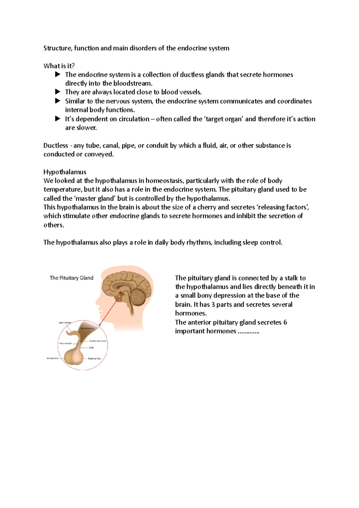 Endocrine system - science - Structure, function and main disorders of ...