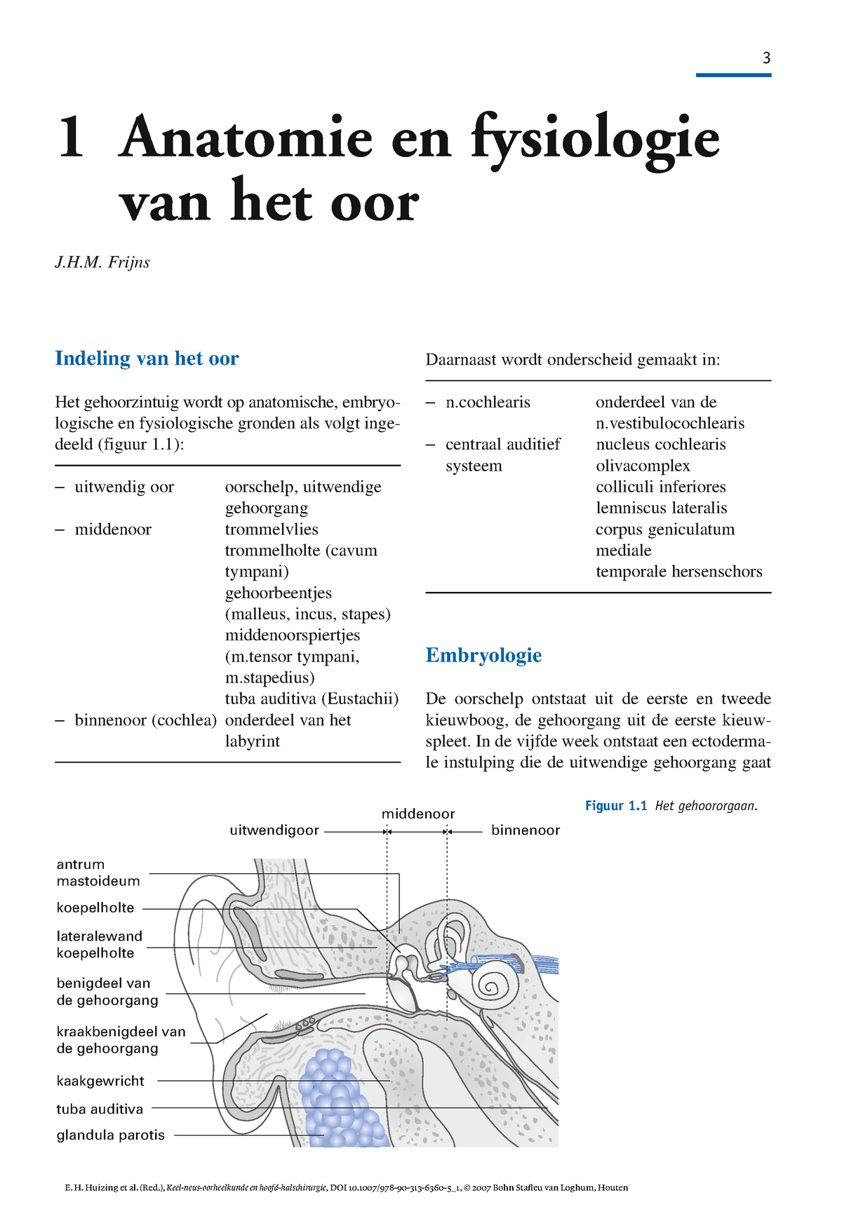 Anatomie En Fysiologie Van Het Oor Anatomie En Fysiologie Van Het