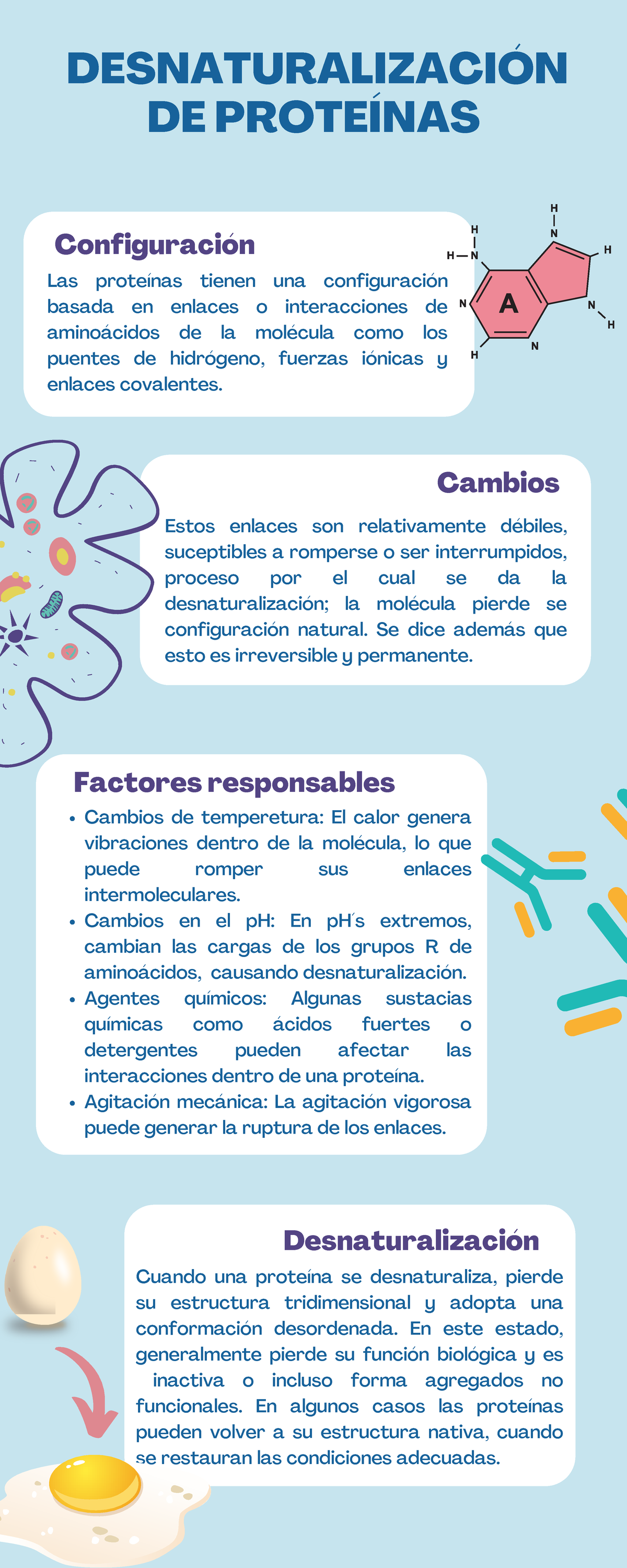 Desnaturalización de proteínas - Configuración Las proteínas tienen una