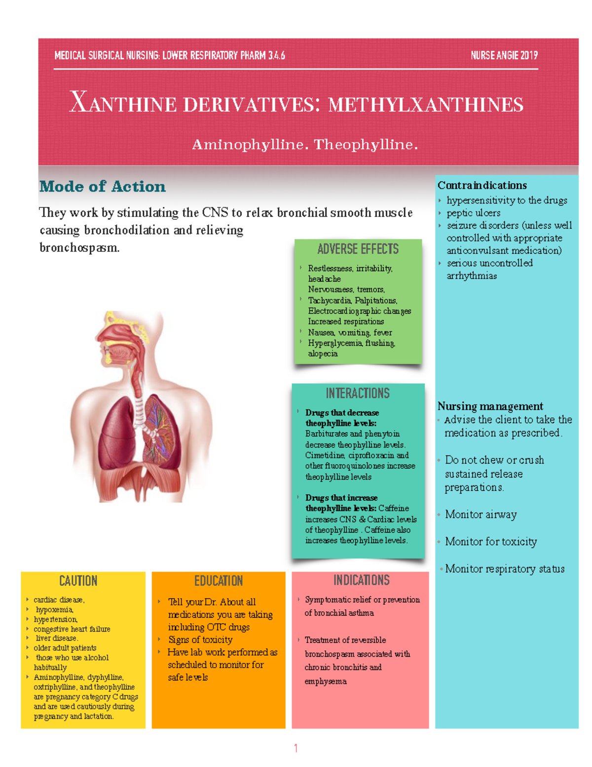 Xanthine derivatives methylxanthines Mode of Action They work by