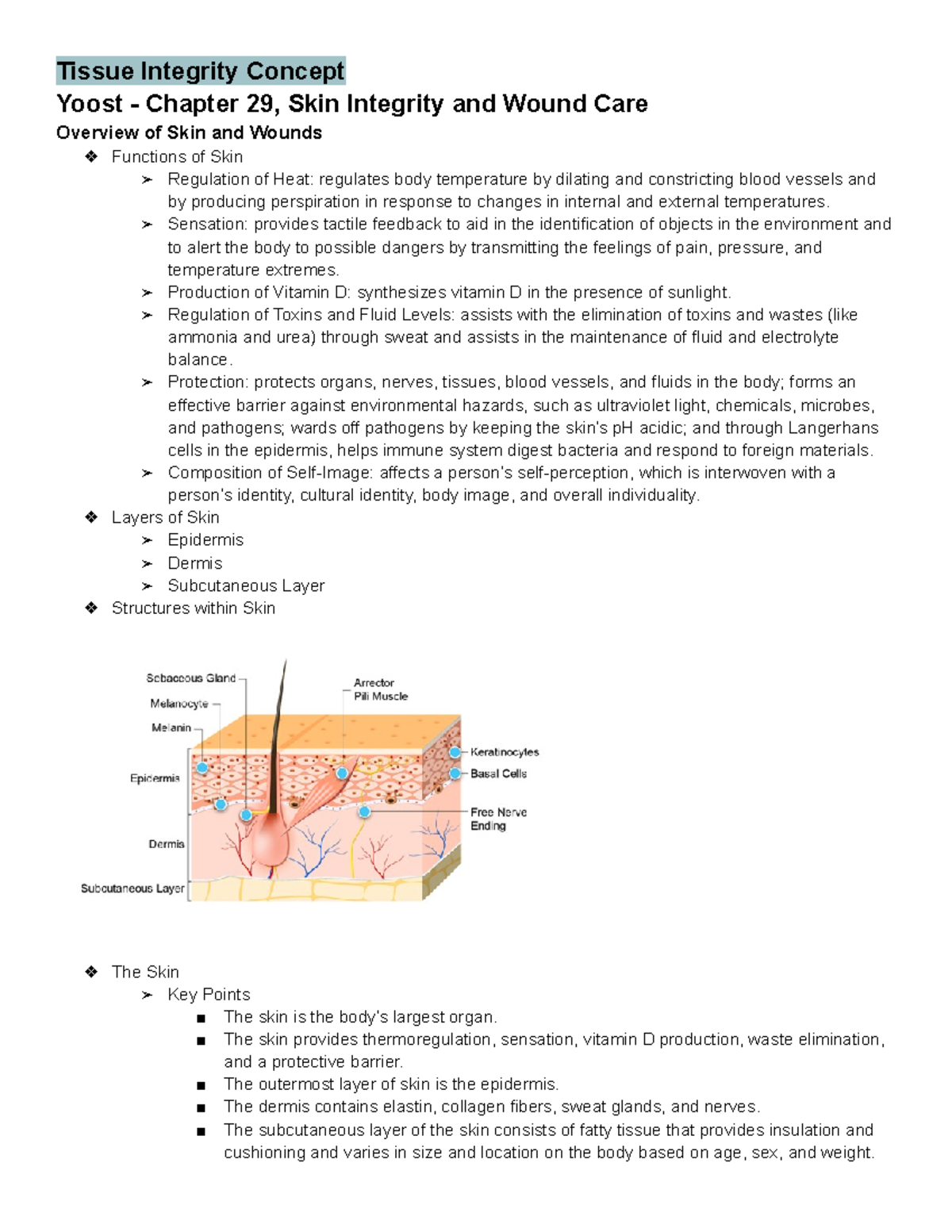 Tissue Integrity Concept Notes Tissue Integrity Concept Yoost Chapter 29 Skin Integrity And 7237