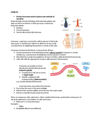 Diabetes Mellitus 1 - Review A Unified Pathophysiological Construct of ...