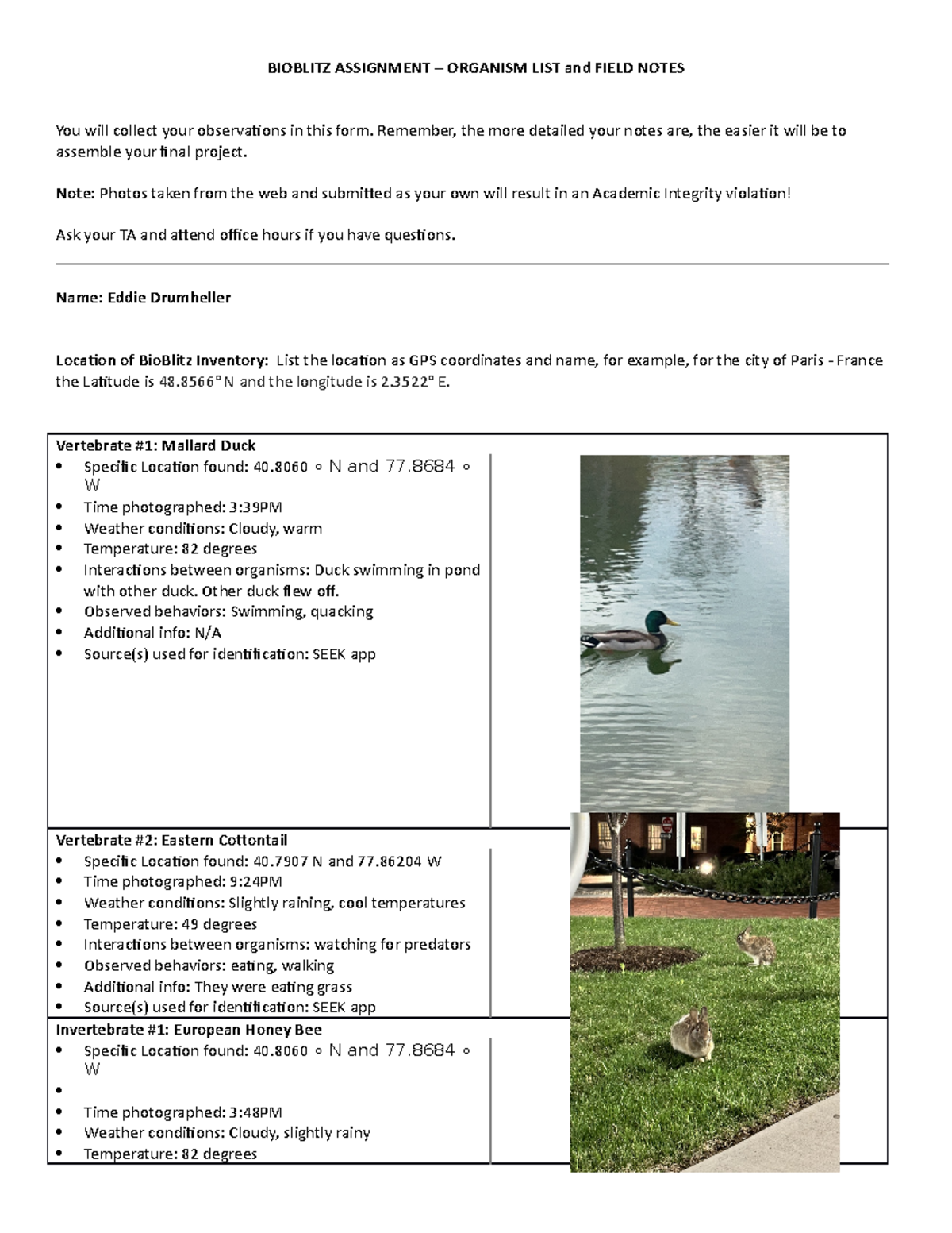 Bio Blitz Field Notes - BIOBLITZ ASSIGNMENT – ORGANISM LIST And FIELD ...