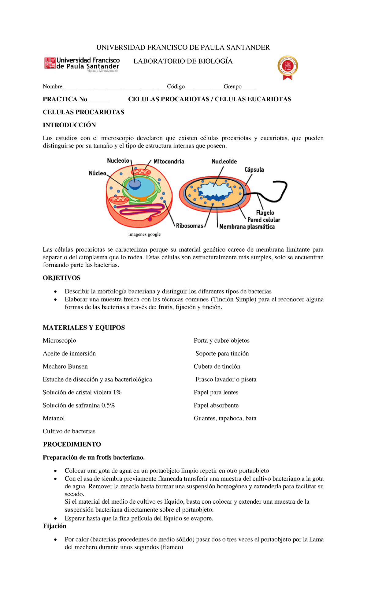 Guía 4 Laboratorio Célula Procariota Y Célula Eucariota Universidad Francisco De Paula 0944