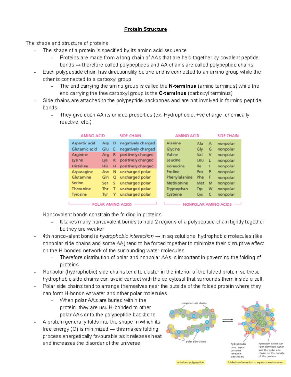 Topic 3 - protein structure (pg 123-141) - Protein Structure The shape ...