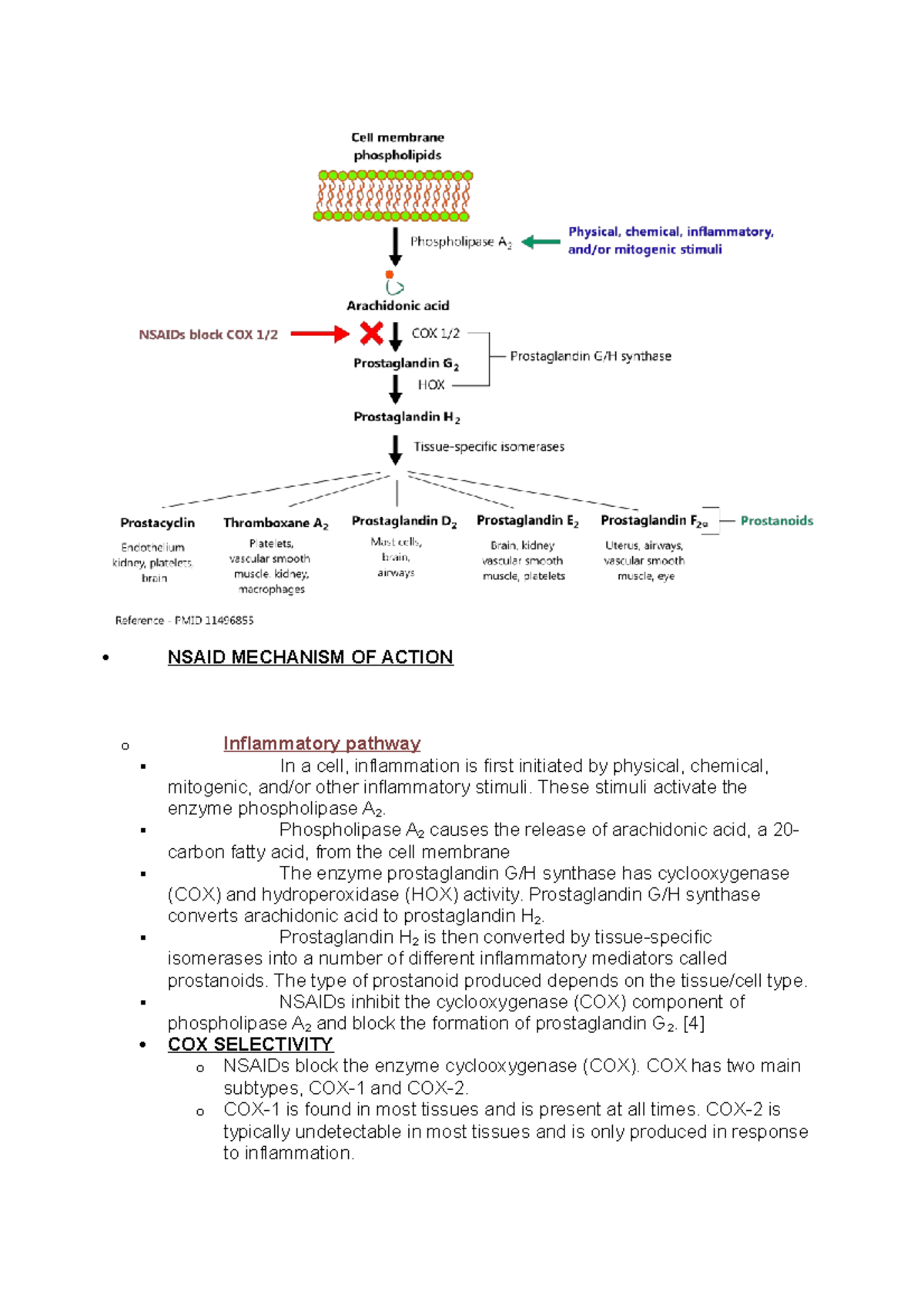 Nsaid Mechanism OF Action - NSAID MECHANISM OF ACTION o Inflammatory ...