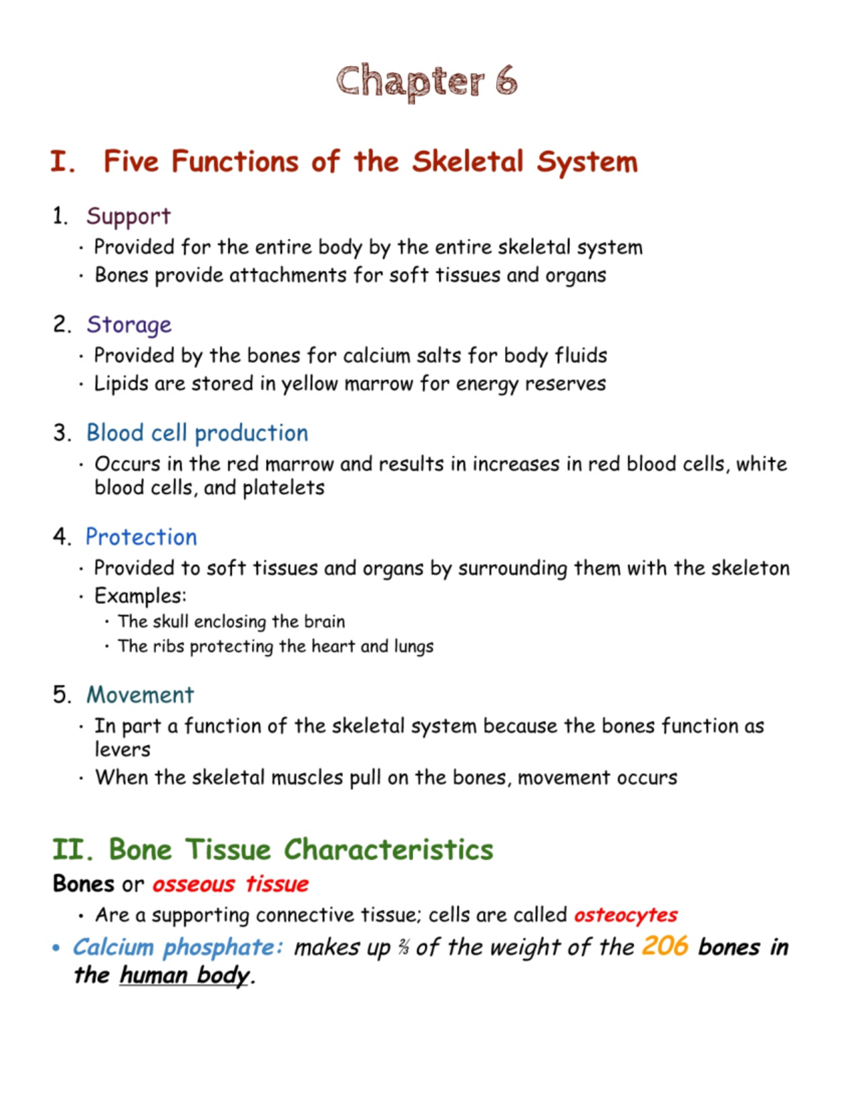 Functions Of Skeletal System - BIOL 215 - Studocu