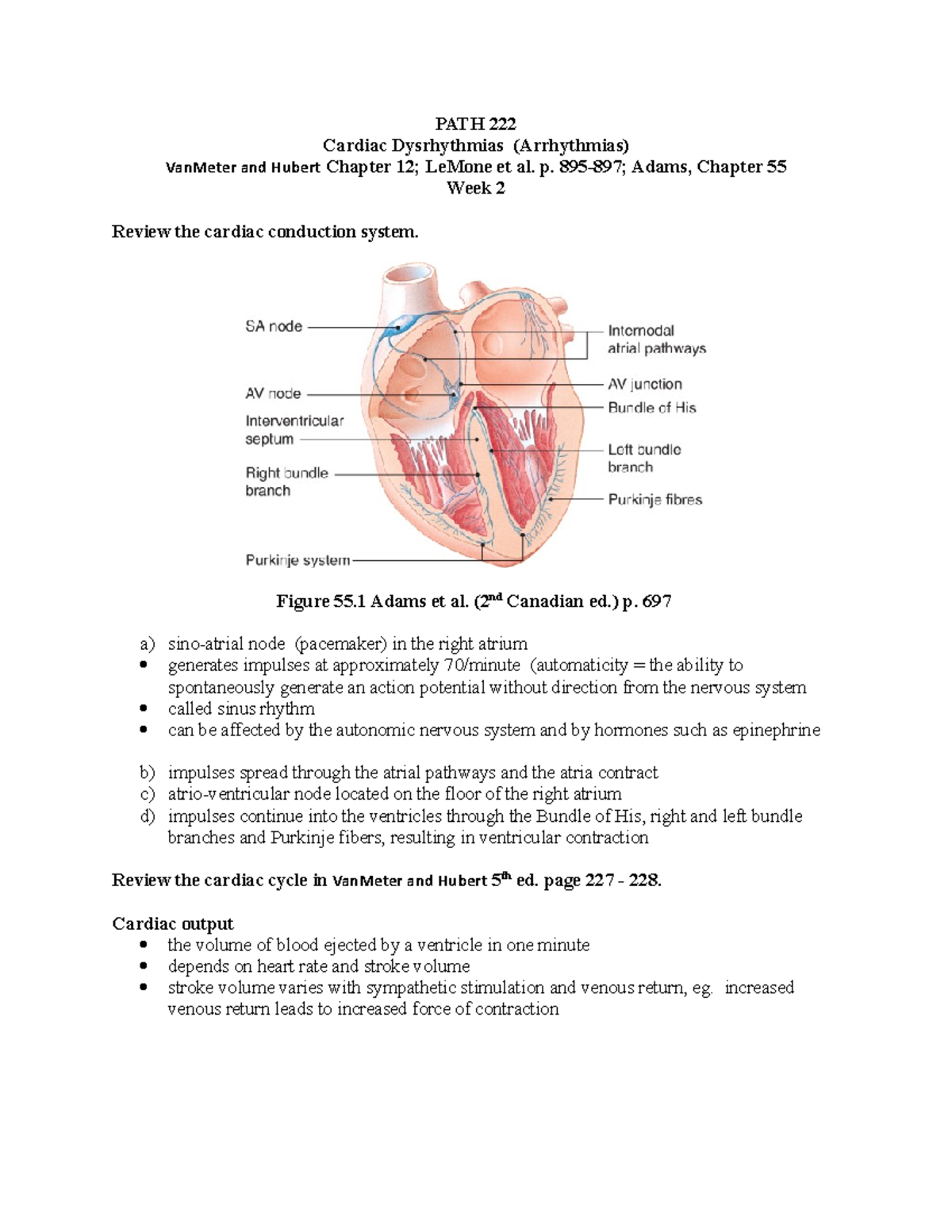 PATH 222Cardiac Dysrhythmias - p. 895-897; Adams, Chapter 55 Week 2 ...