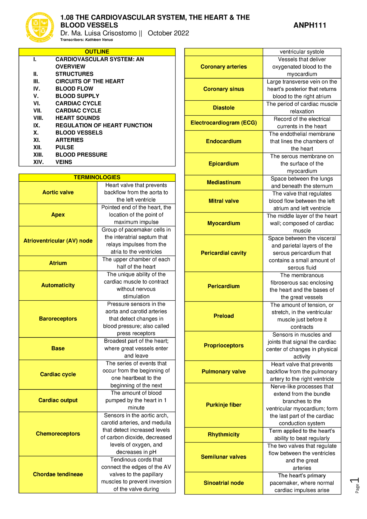 1.08-THE- Cardiovascular- System-THE- Heart-THE- Blood- Vessels - 1 8 ...