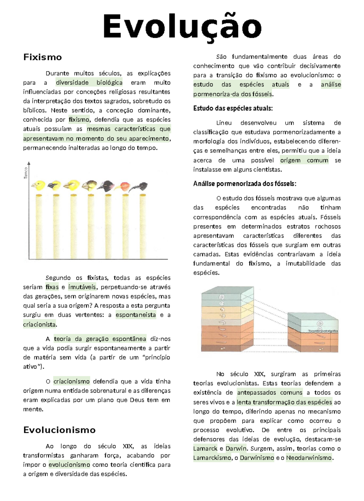 Evolução biológica - Fixismo Durante muitos séculos, as explicações ...