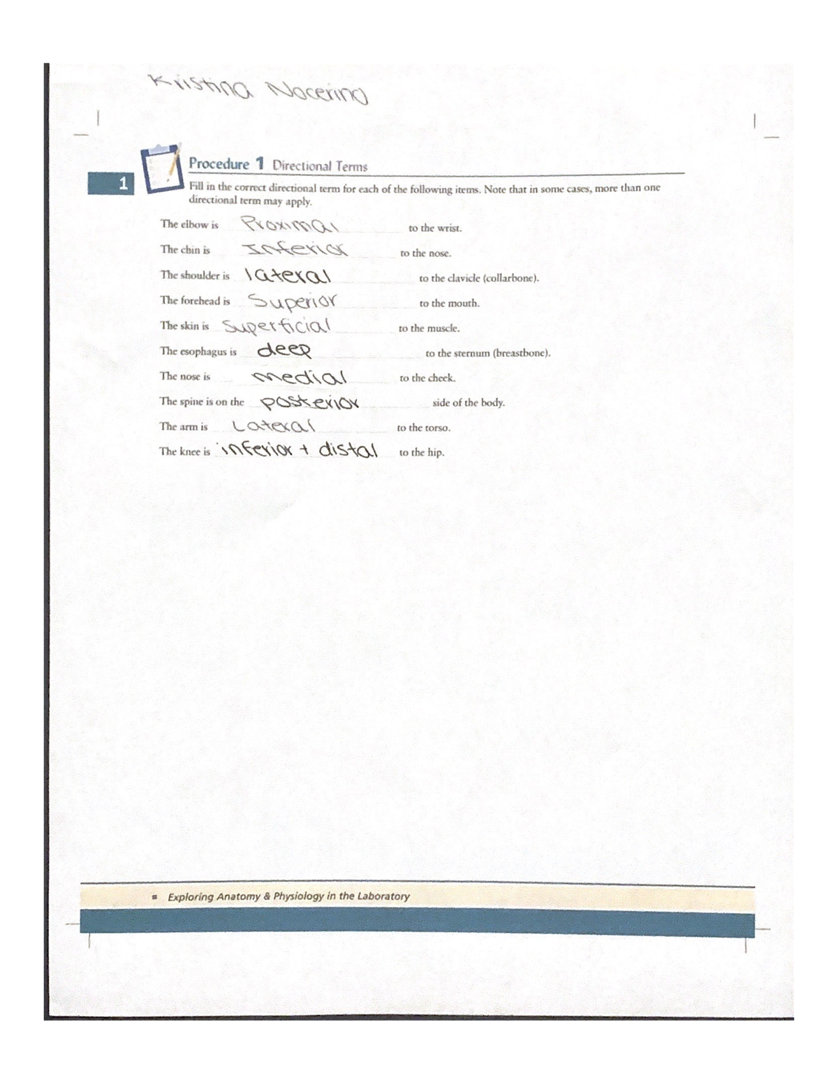 Lab Work Examples