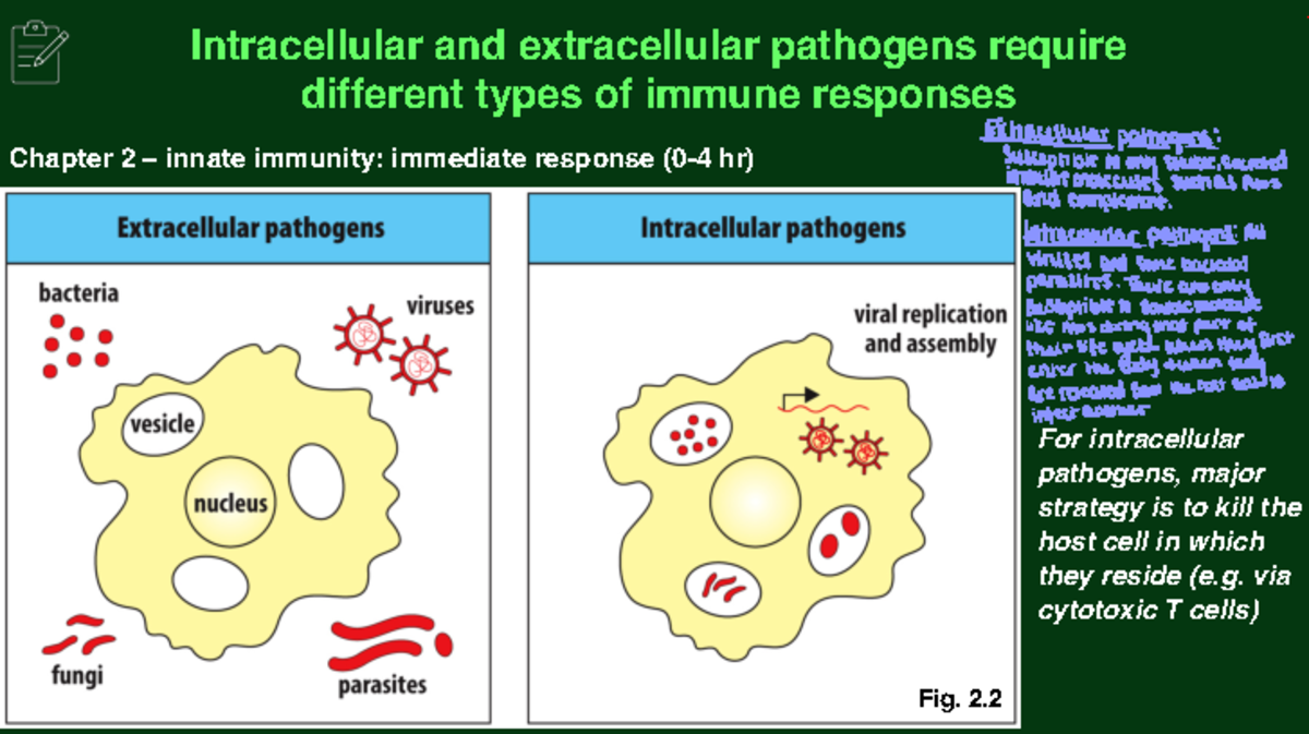 What Are Non Cellular Pathogens