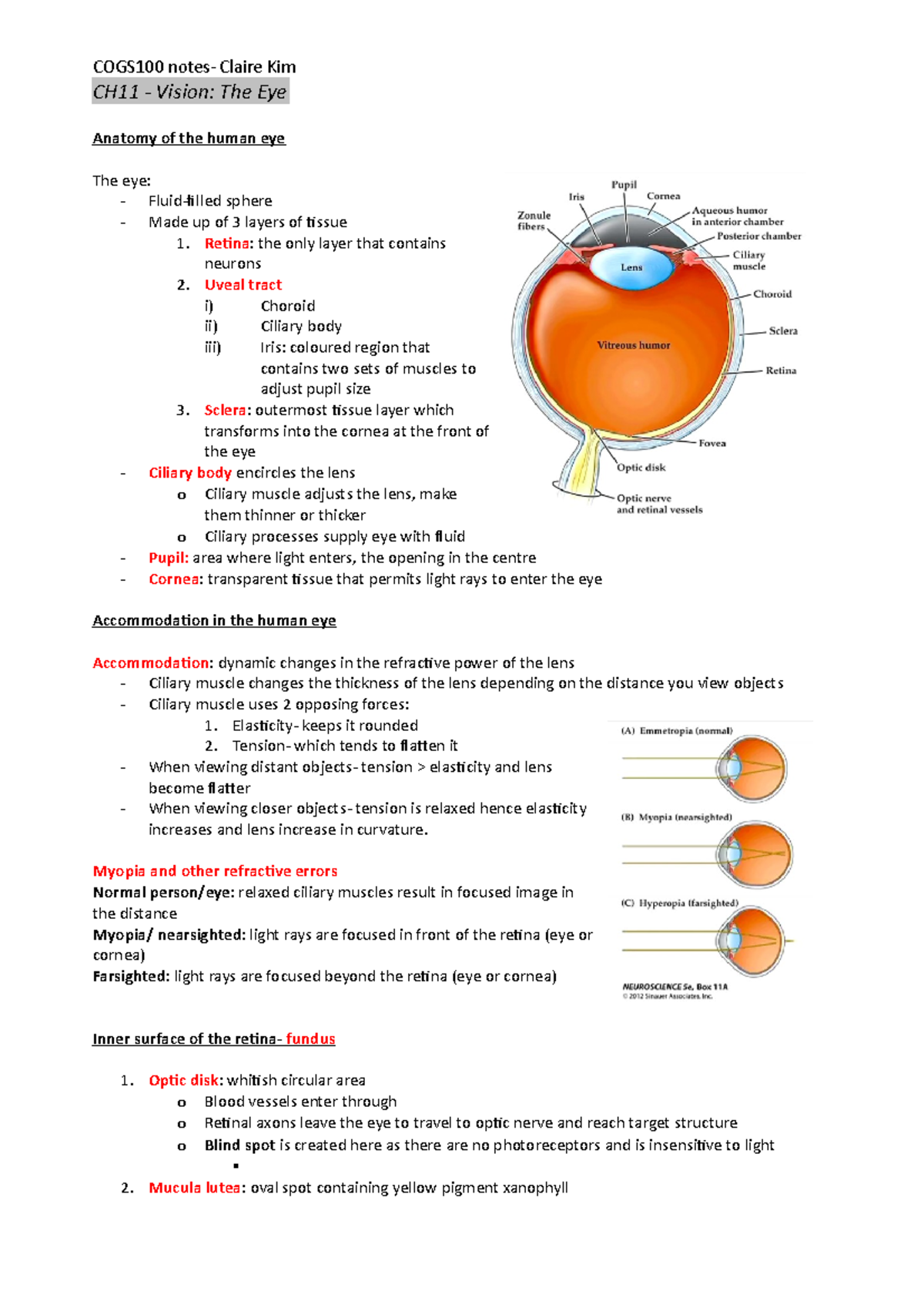 Cogs100 final notes - COGS100 notes- Claire Kim CH11 - Vision: The Eye ...