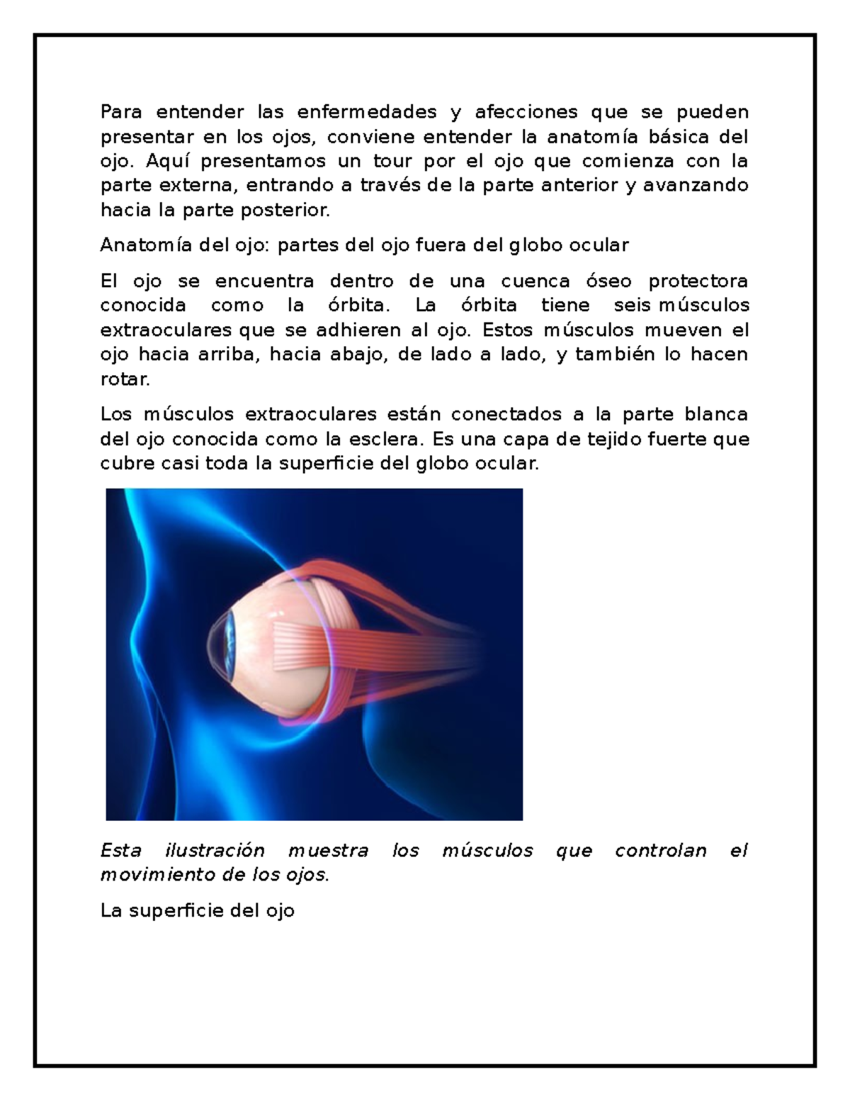 Anatomia DE LOS OJOS - ASDFG - Para entender las enfermedades y ...