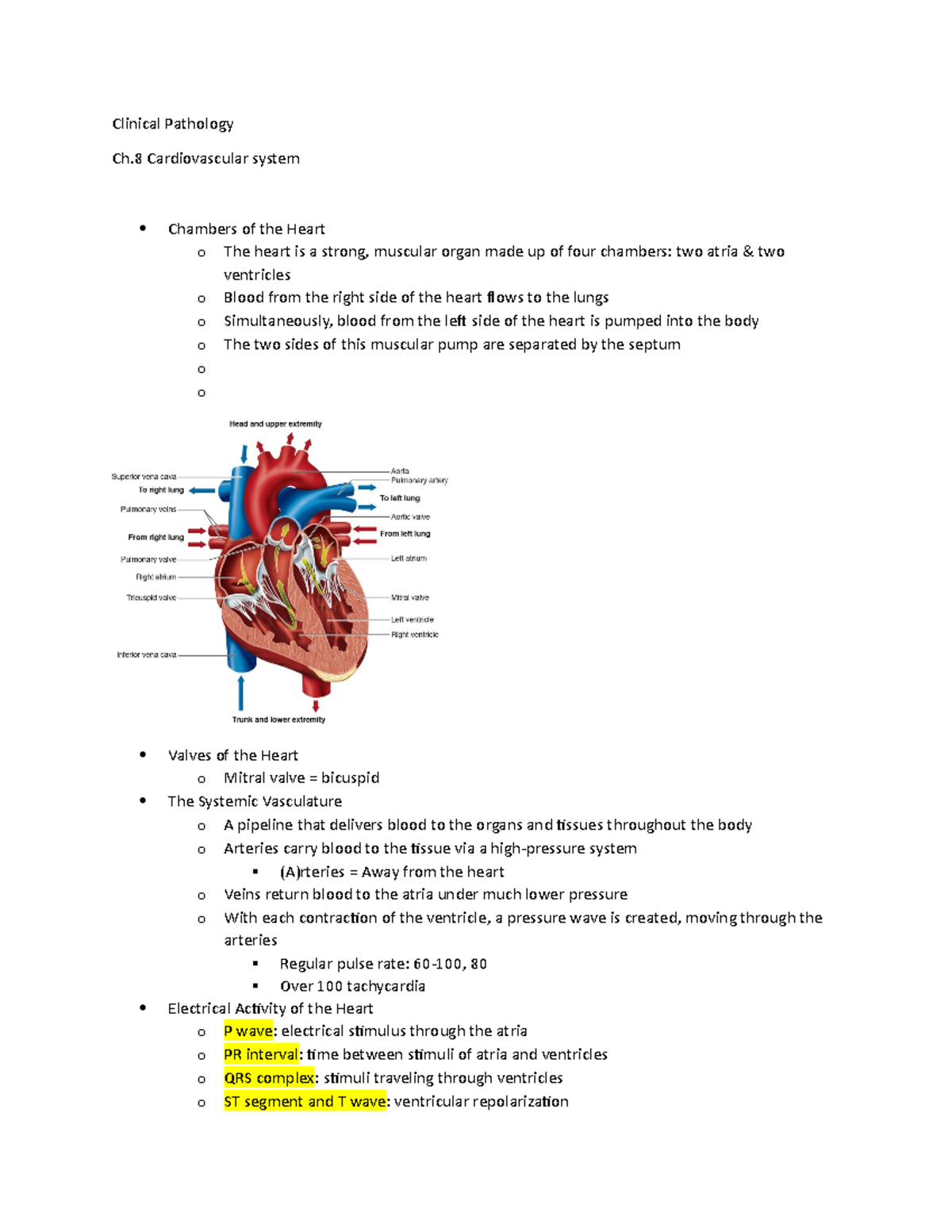 Cardiovascular Pathologies - Clinical Pathology Ch Cardiovascular ...