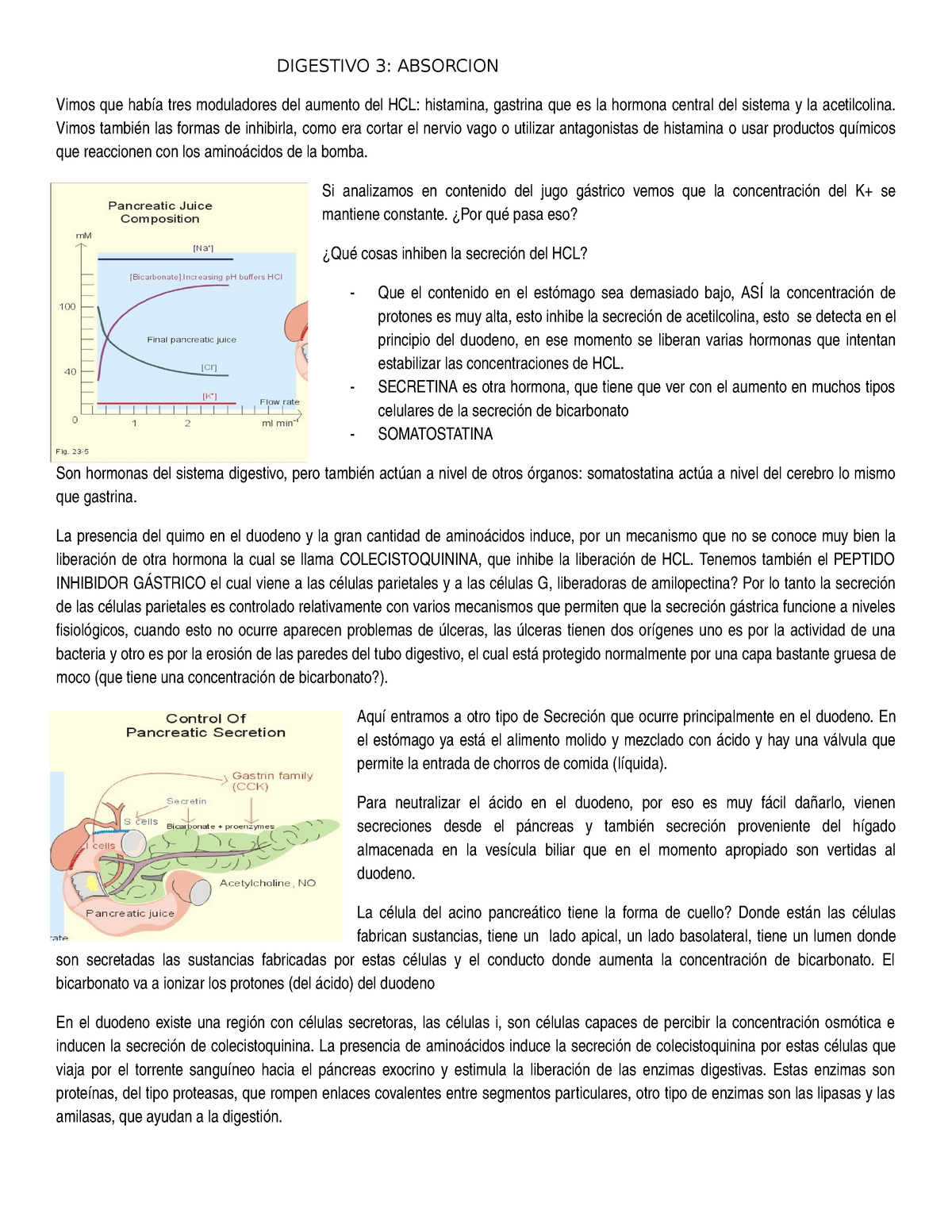 Absorcion Y Digestion Del Sistema Digestivo Studocu