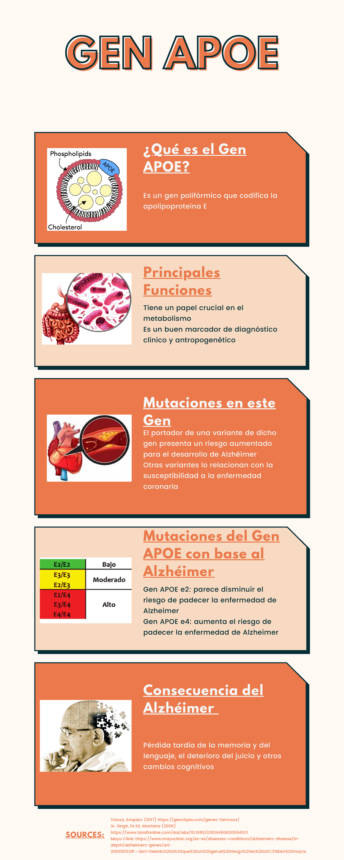 GEN APOE - Infografía acerca de un malformación genética - GEN APOEGEN ...