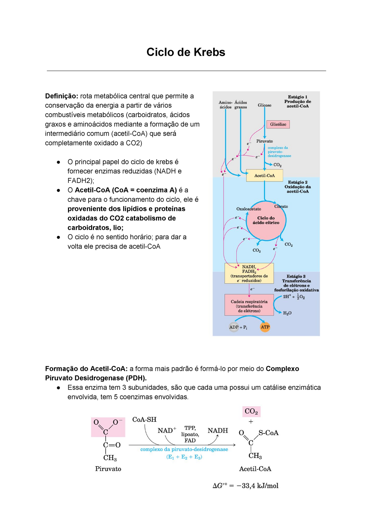 Ciclo De Krebs Resumo Bioquimica Ilustrada Ciclo De Krebs Definição Rota Metabólica Central 9558