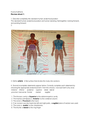 BIO 2430 Chapter 13 Handout S19 - Handout for Chapter 13 The Endocrine ...