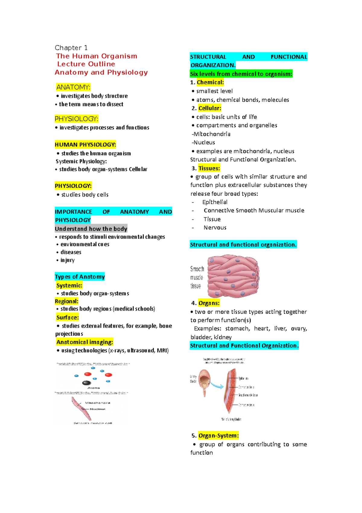 MY Reviewer ( Anaphy) 012326 - Chapter 1 The Human Organism Lecture ...