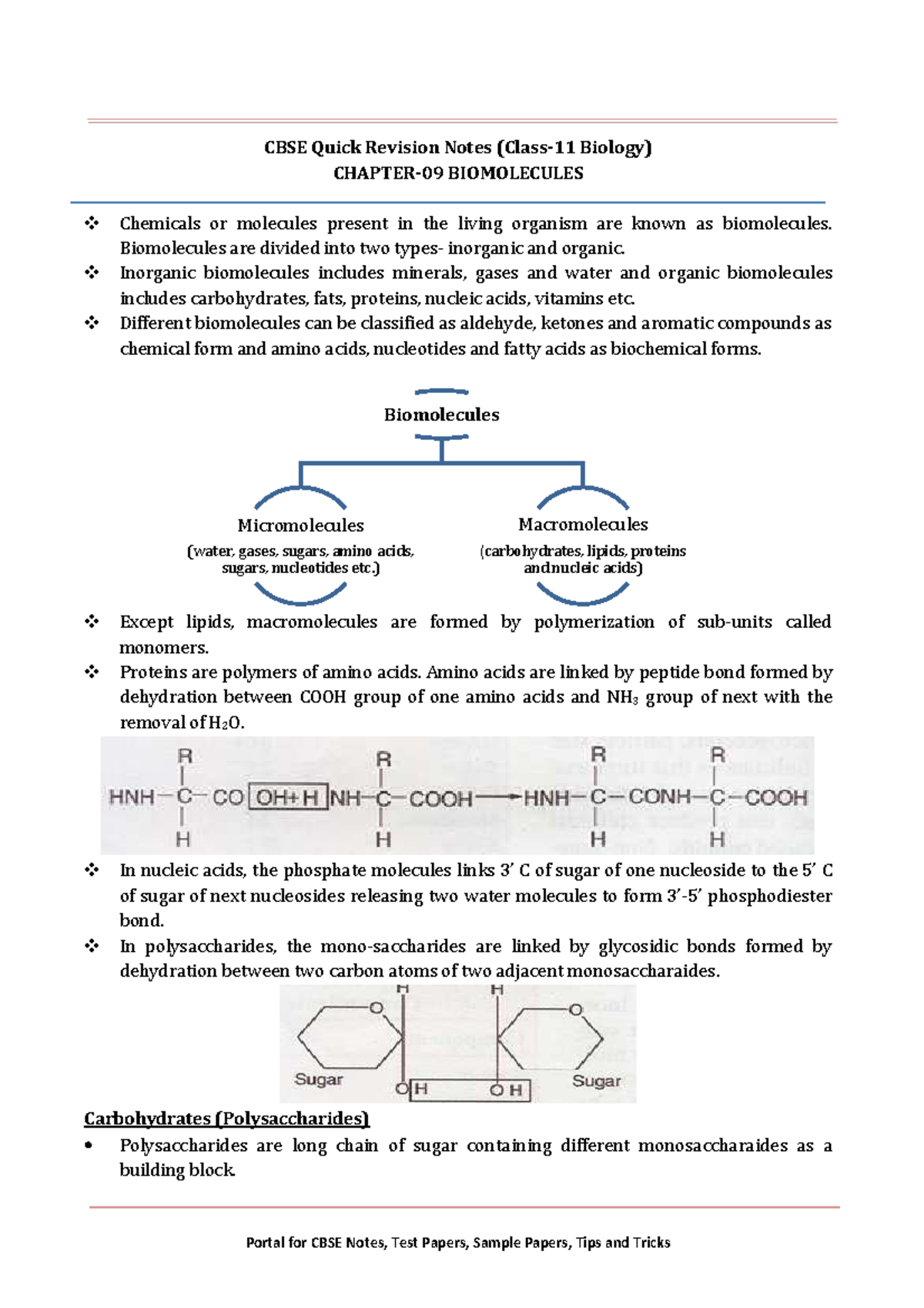 11 biology notes ch09 biomolecules CBSE Quick Revision Notes (Class