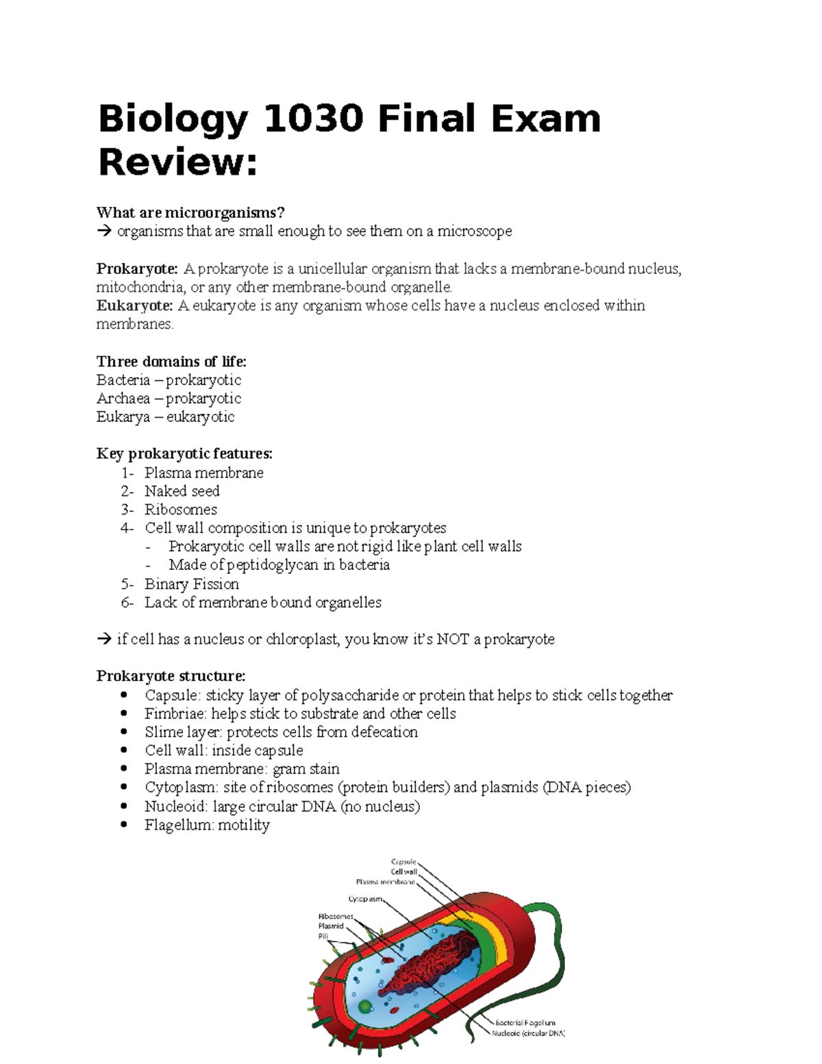 Bio 1030 Final Review - Biology 1030 Final Exam Review: What Are ...