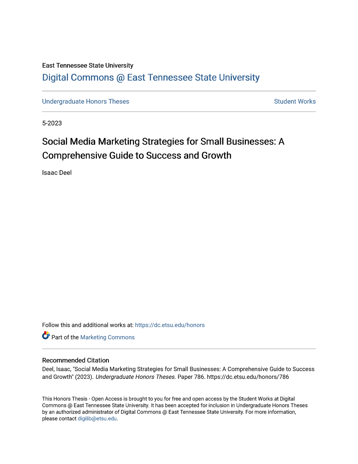 social media marketing strategy thesis