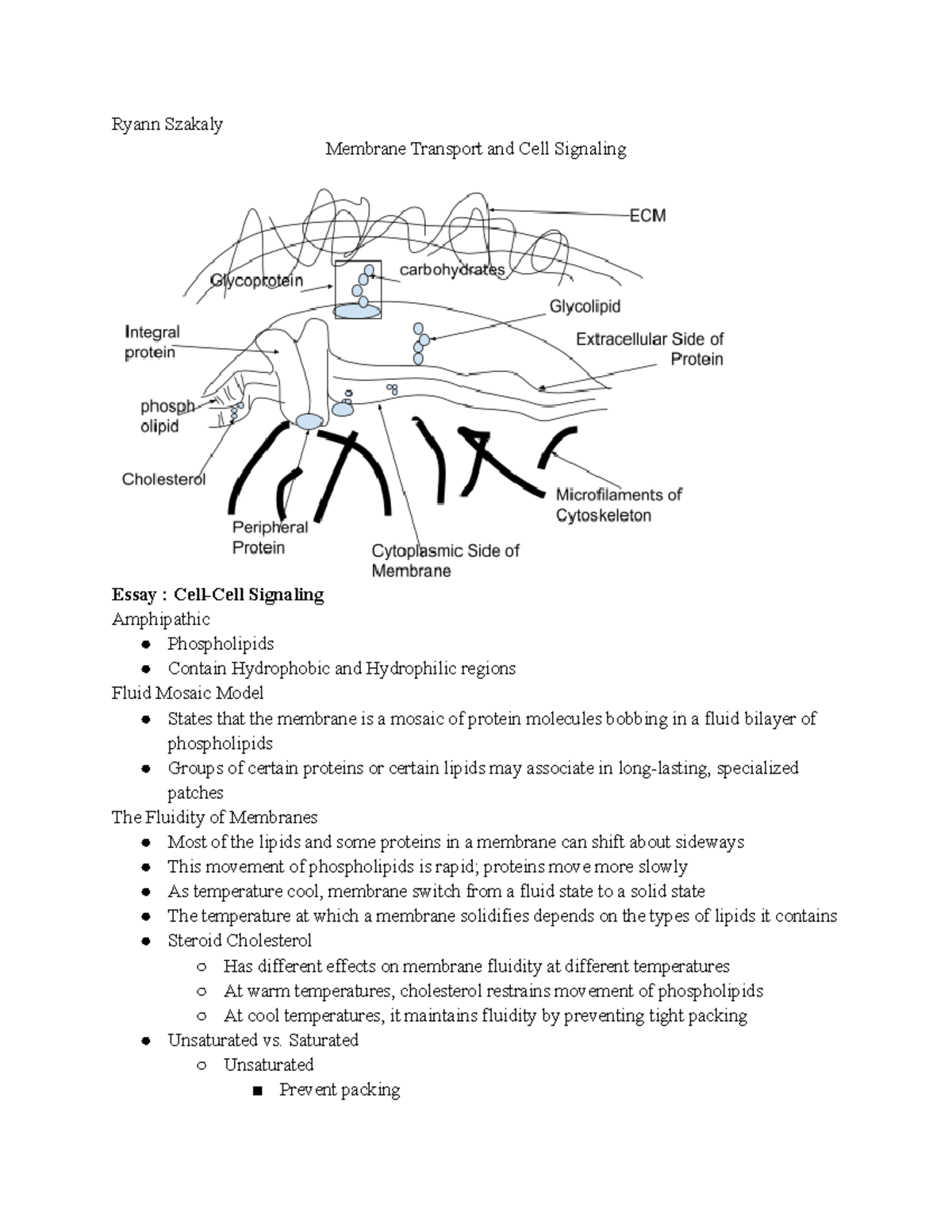 Ch. 5 Notes - Membrane Transport And Cell Signaling - Ryann Szakaly ...