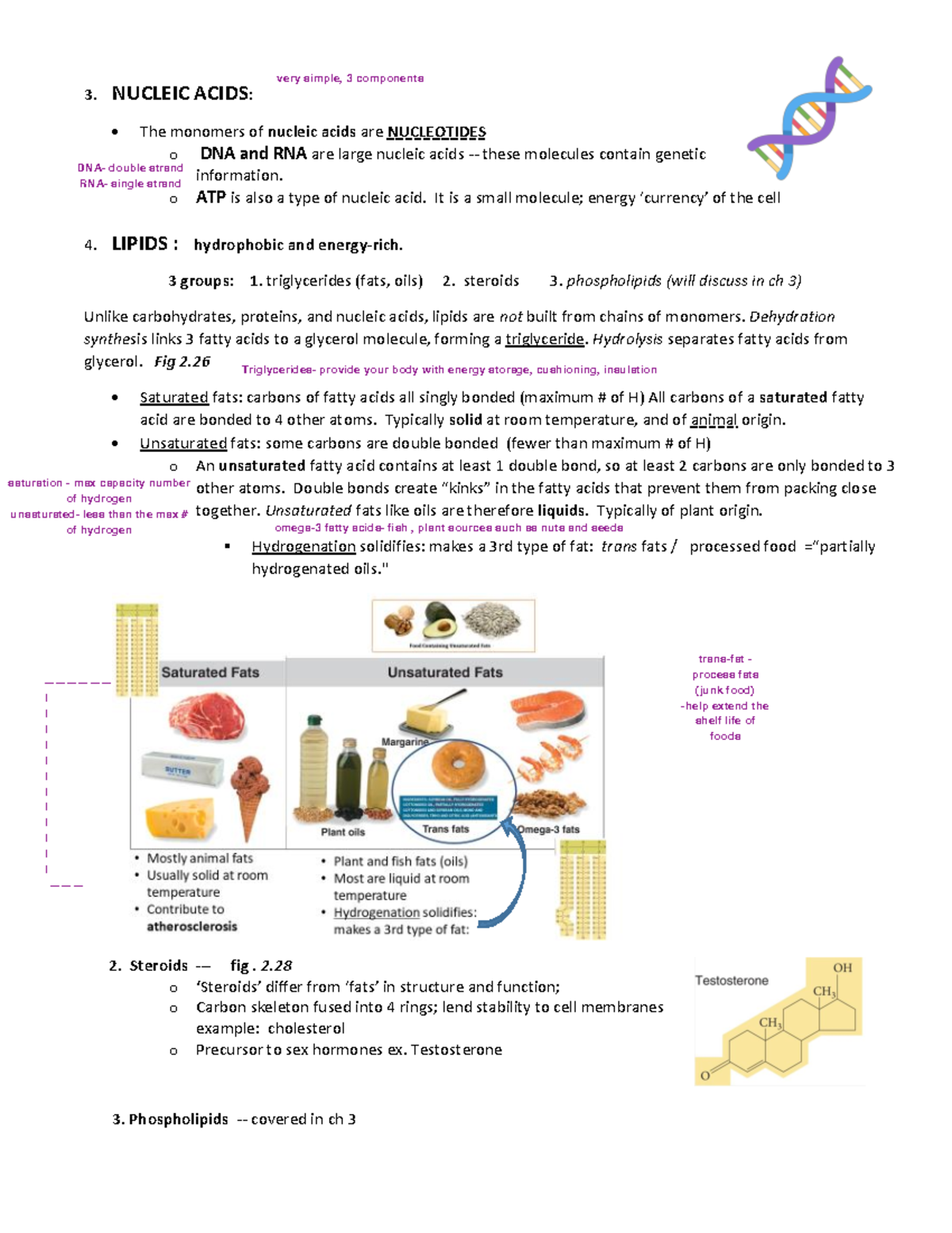 Chap 2 completed Pg 3 - 3. NUCLEIC ACIDS: x The monomers of nucleic ...